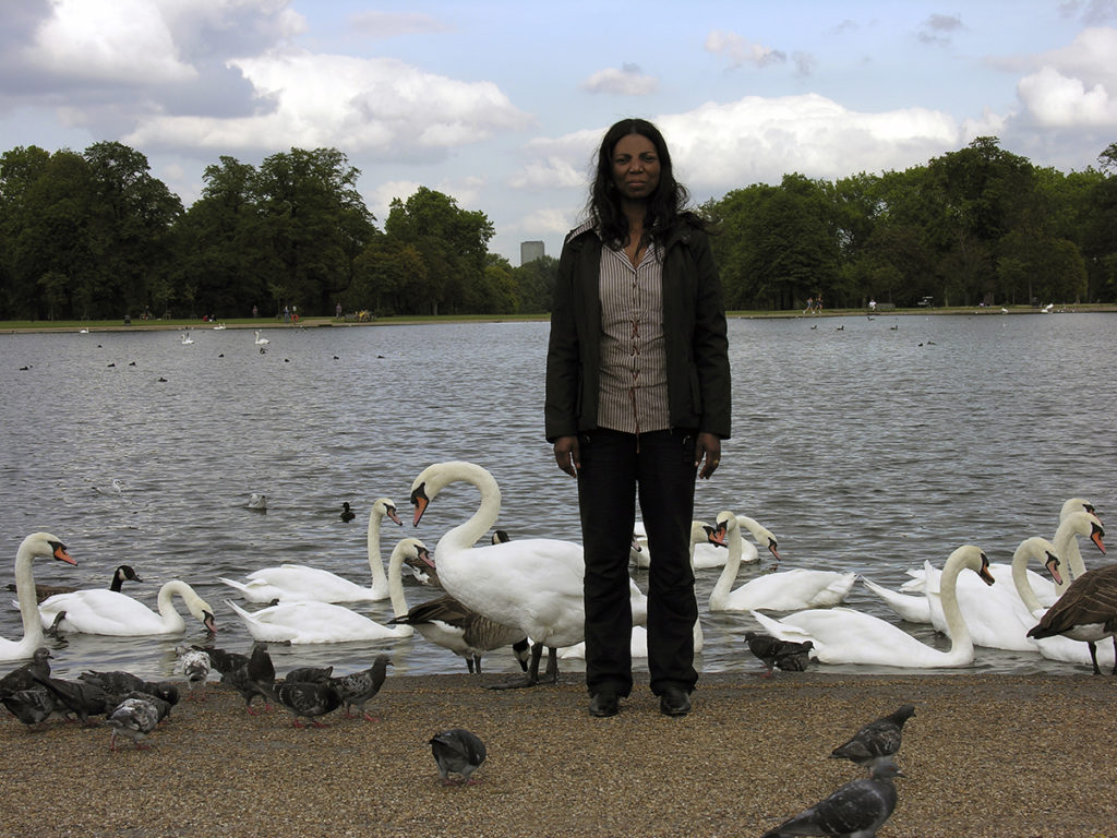 Foto del viaggio di nozze a Londra davanti ad un lago artificiale con cigni e piccioni