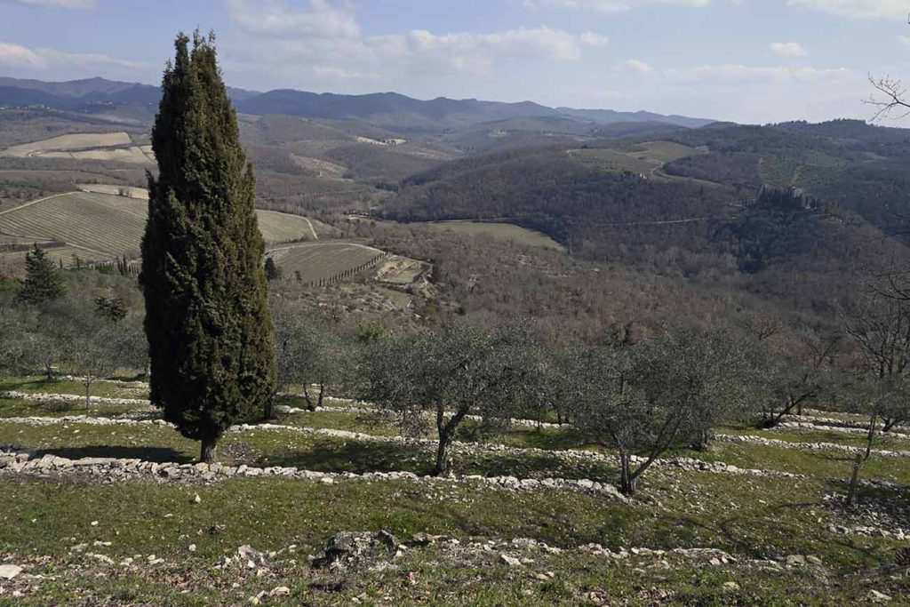 paesaggio di Lecchi