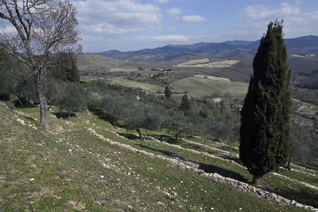 paesaggio di Lecchi