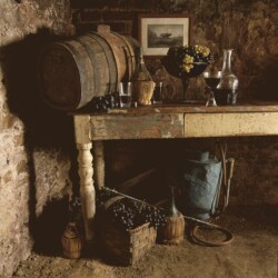 cantina vinicola Aqua