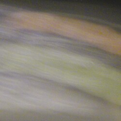 Lo strabismo di Venere