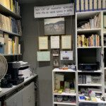 Angolo della libreria bianca co spazio dedicato al cavallo maremmano