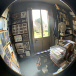 fisheye 11