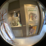 fisheye 5