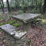 tavolino da dama nel bosco con sedute